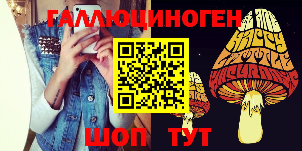 Дербент  Псилоцибиновые грибы GOLDEN TEACHER  Вход с VPN 
